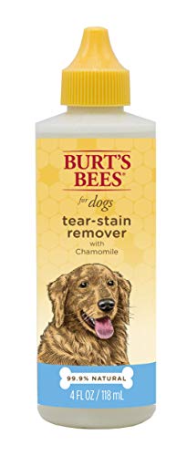 Dog Eye Gunk: What It Is & How Exactly To Deal With It