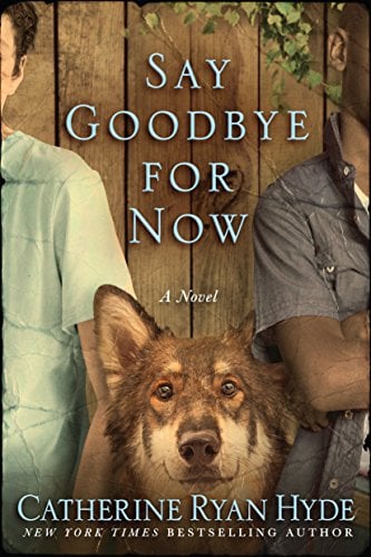 "Say Goodbye For Now" book cover