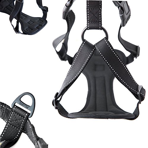 Padded Dog Harnesses The Best Harness Options for a Wiggly Pet