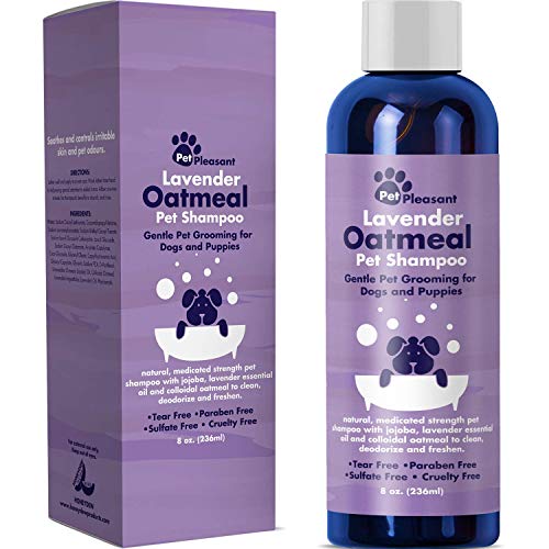 dog allergy shampoo treatment