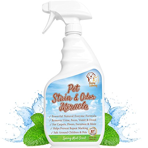 16 Pet Safe Non Toxic Cleaners We Love The Dog People By Rover Com
