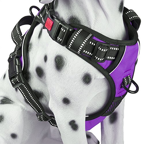 6 Best Vest Harnesses for Dogs The Dog People by