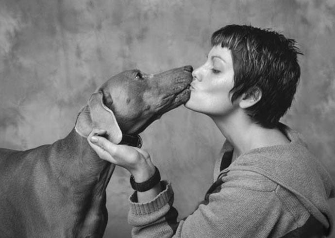 Black and white image of a young woman kissing a Weimaraner for the Get A Weimaraner DogBuddy Blog Post
