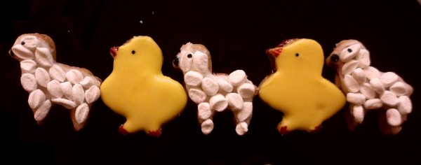 chicken and sheep biscuits