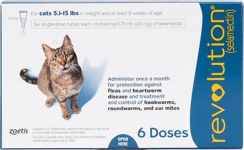 cat licked flea medication