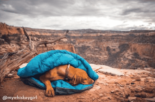 Whyld River Sleeping Bag