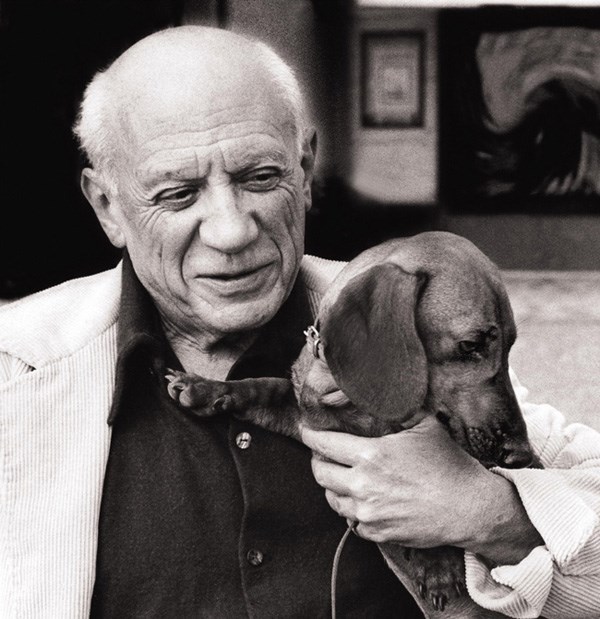 picasso e il suo bassotto