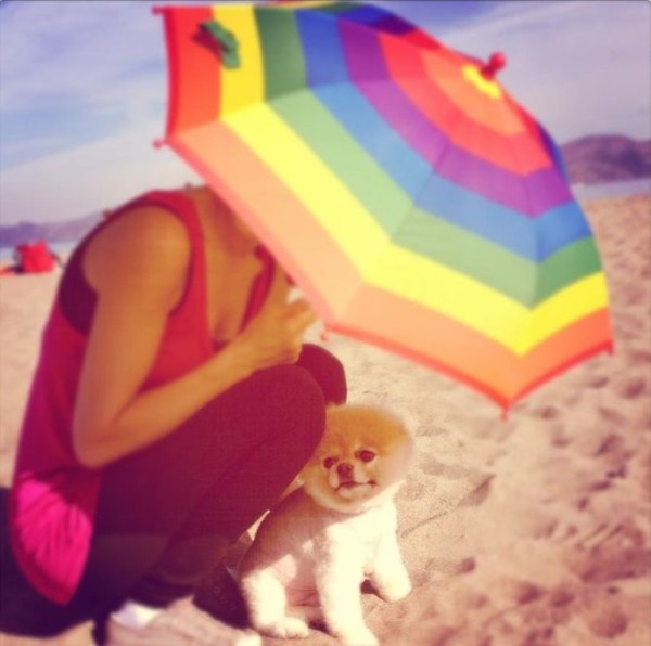 al mare con i cani protetti da un ombrellone di tanti colori con una ragazza