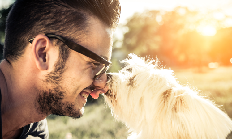 Hvorfor hunden meg? forklarer slikkevaner | The Dog People by Rover.com