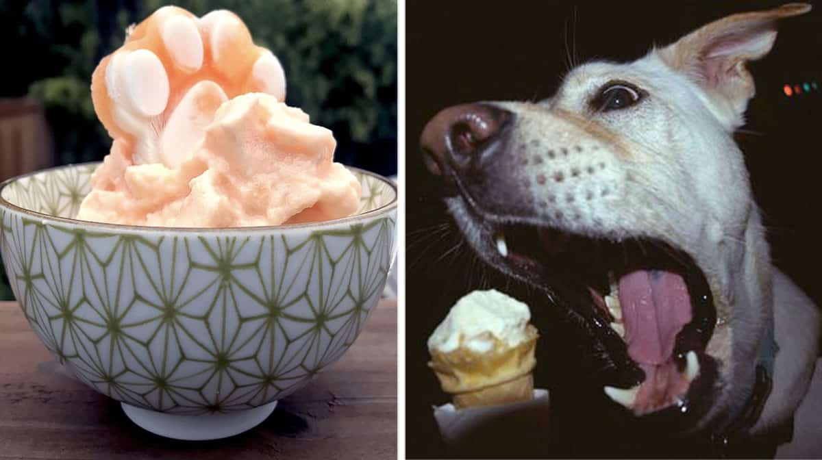 is ice cream okay for dogs