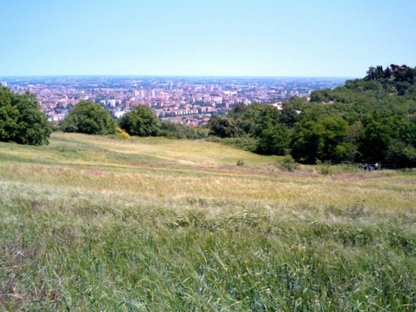 passeggiare con il tuo cane a bologna parco dei gessi