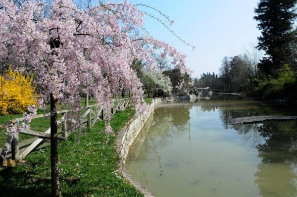 passeggiare con il tuo cane a bologna giardini margherita