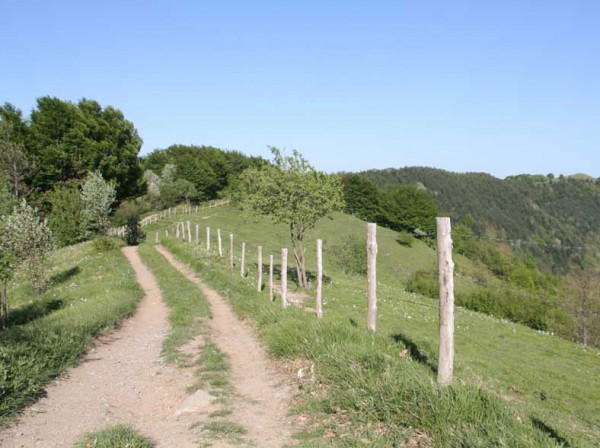 Parco Naturale Regionale dell’Antola