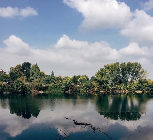 passeggiare con il tuo cane a milano laghetto europa san donato milanese