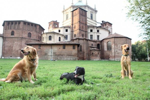 parco delle basiliche milano area cani