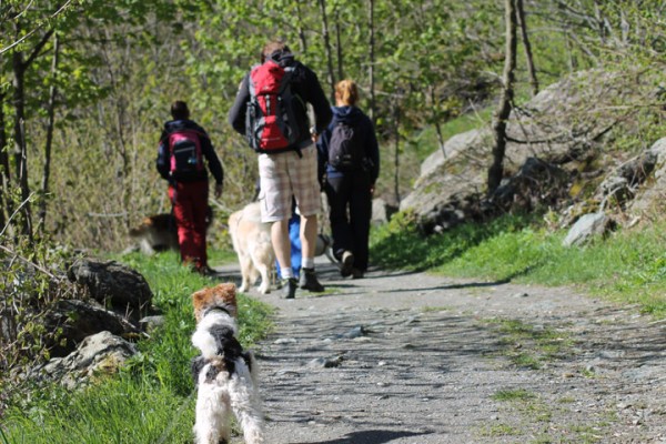 passeggiare con il tuo cane a torino e dintorni il frais