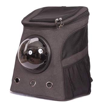 Fat Cat backpack carrier in black