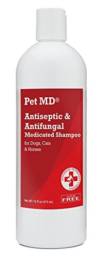 dog shampoo to treat yeast infection