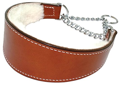 sheepskin-lined leather collar with chain martingale loop