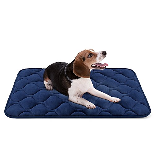 The Best Dog Beds For Huskies The Dog People by