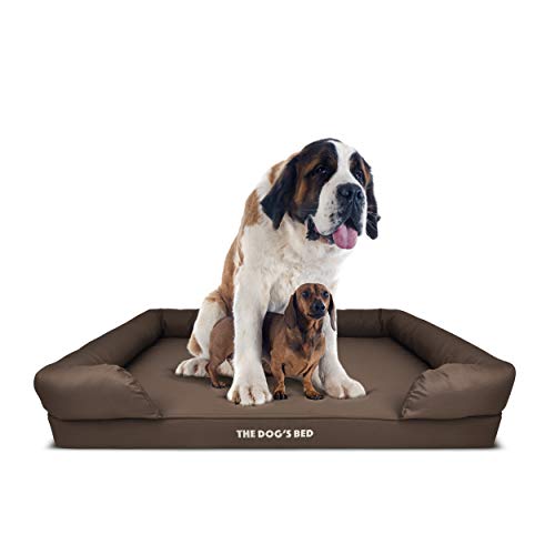 The Best Dog Beds For Great Danes in 2019 The Dog People by