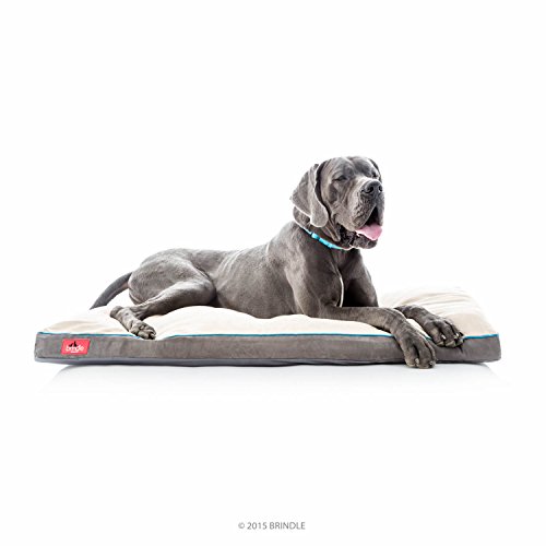 The Best Dog Beds For Great Danes in 2019 The Dog People by