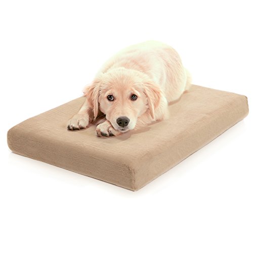 Dog Beds for Huskies 8 Brilliant Beds Your Husky Will Love to Snooze In
