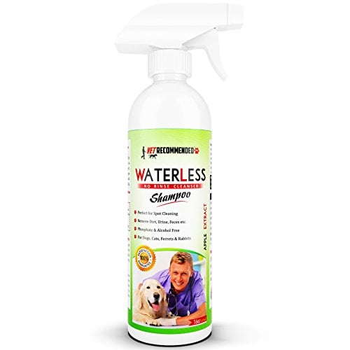 waterless shampoo dog