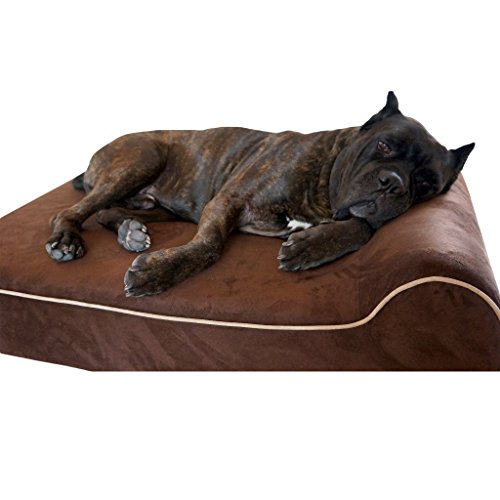 The Best Dog Beds for Pit Bulls | The 