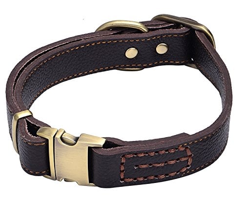 Leather dog collar with gold buckle