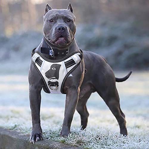 dog harness for extra large dogs