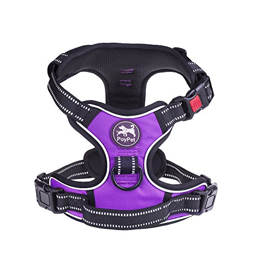 PoyPet No-Pull Harness