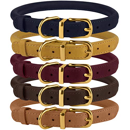 Five leather dog collars with gold buckles in a range of earth tones