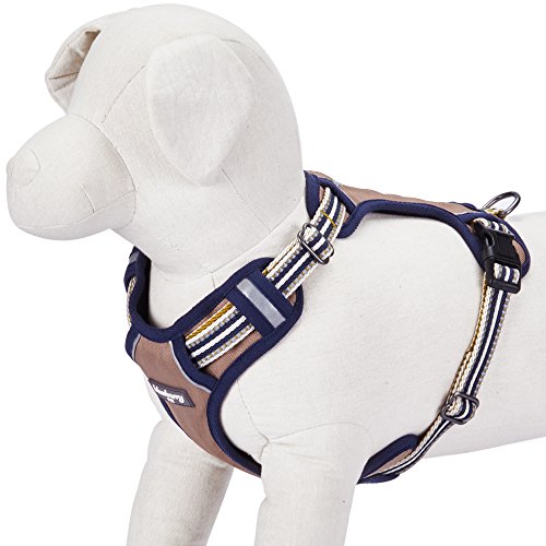 7 Best Harnesses for Australian Cattle Dogs The Dog People by