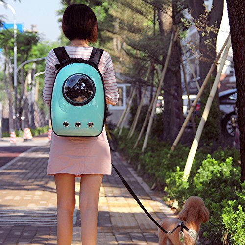 Woman walks down street with Lemonda portable pet backpack
