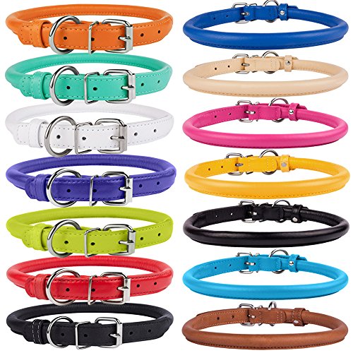 Assortment of a dozen colorful leather collars