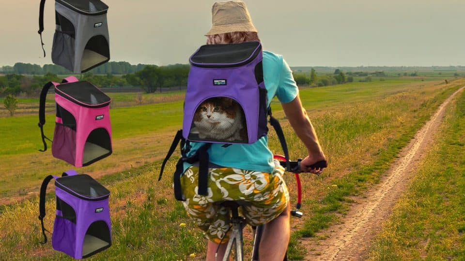 The 10 Best Cat Backpacks for Traveling Kitties The Dog People by