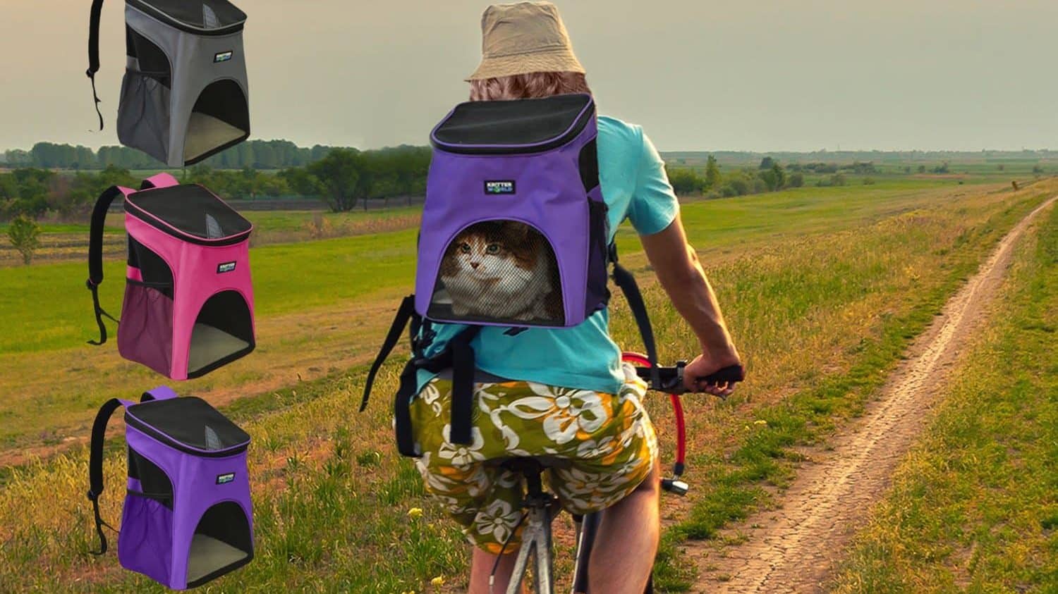 The 10 Best Cat Backpacks for Traveling Kitties The Dog People by