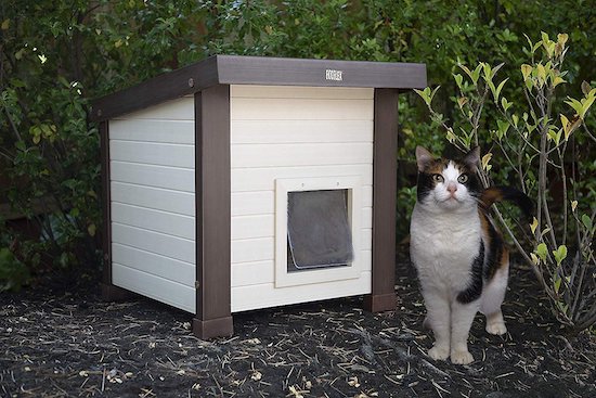 chewy outdoor heated cat house
