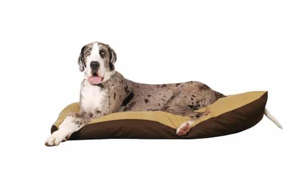 indestructible great dane bed