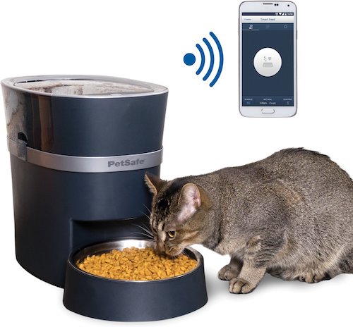 best programmable cat feeder