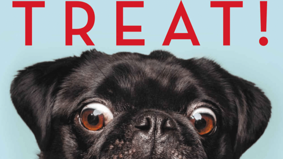 Best Dog Books | New and Classic Reads for Dog People