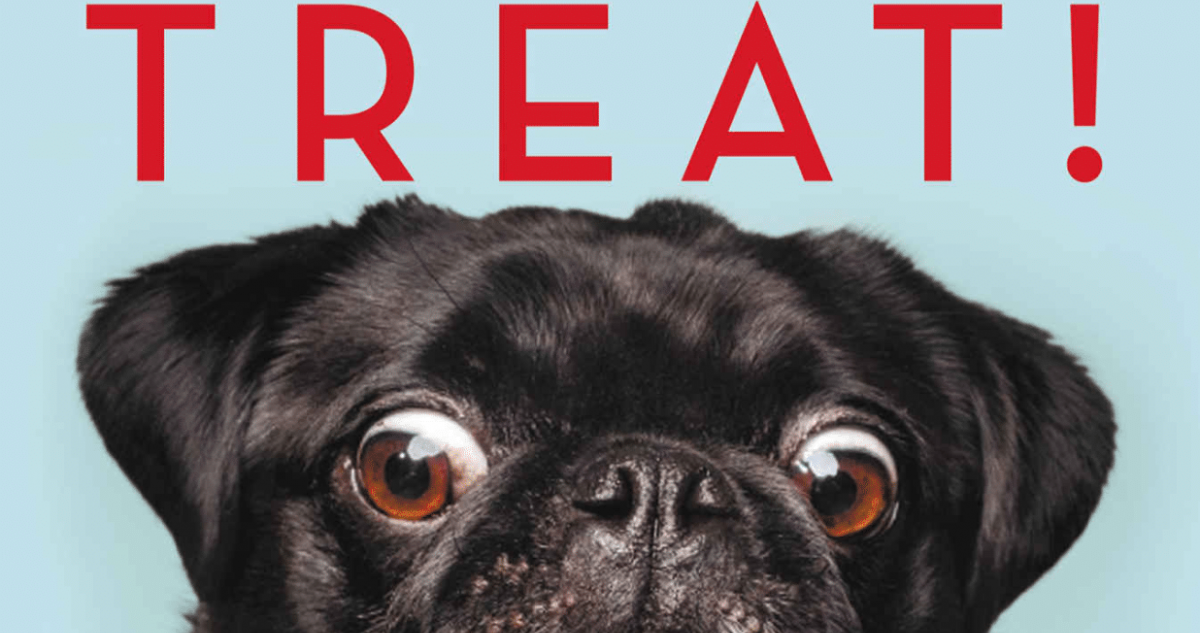 Best Dog Books | New and Classic Reads for Dog People