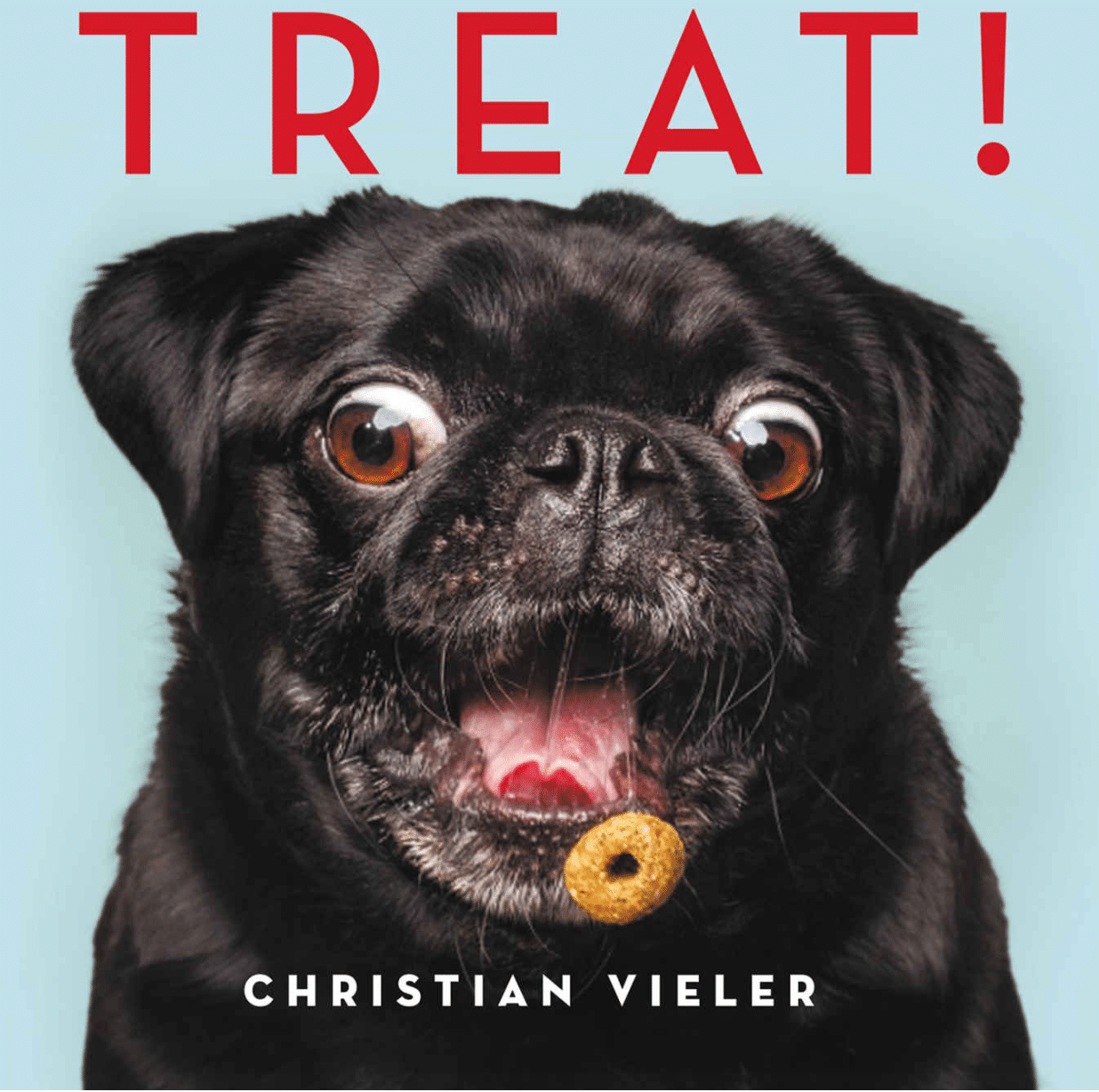 Best Dog Books for 2019 New and Classic Suggestions for Dog People