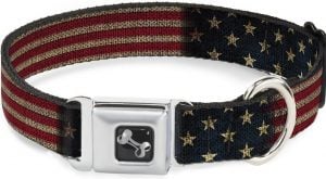 Buckle-Down vintage-style American flag dog collar