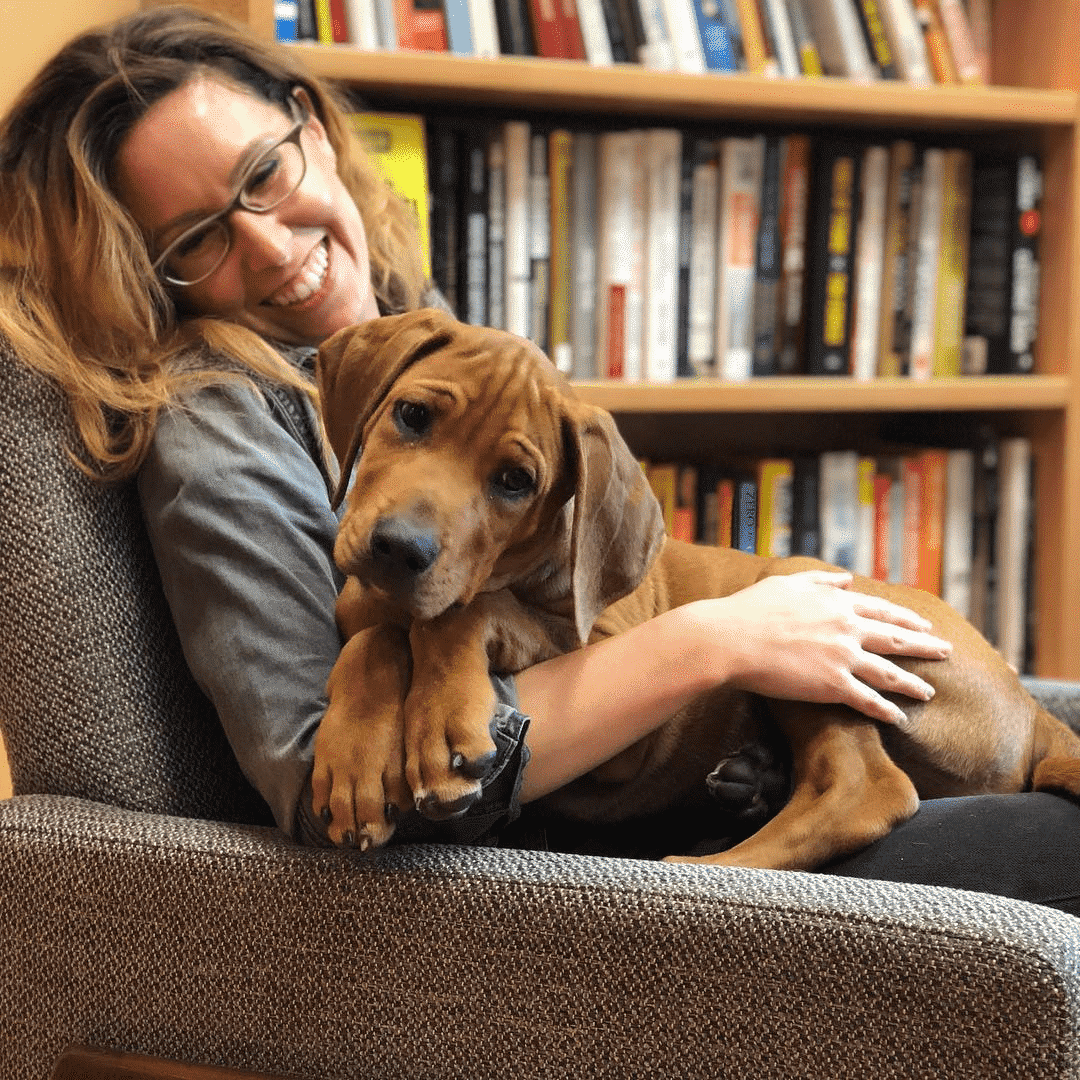 boston's best dog walkers