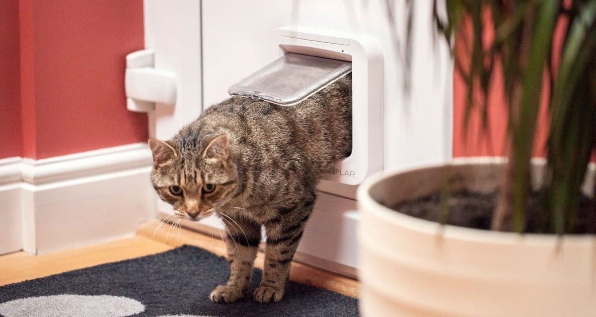 Cat Doors The Five Best For, Stop Cat Opening Sliding Door