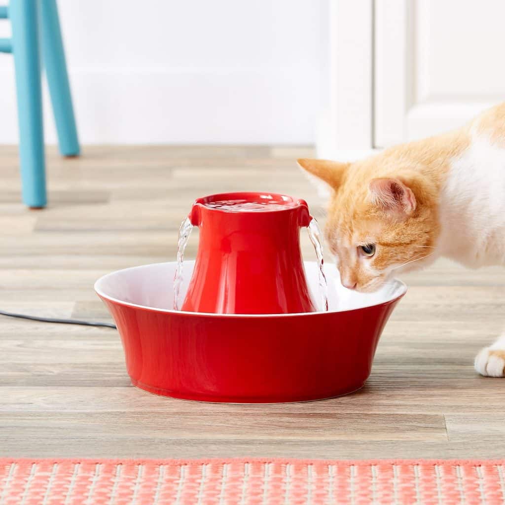 Water Fountains for Cats The Best Running Water 