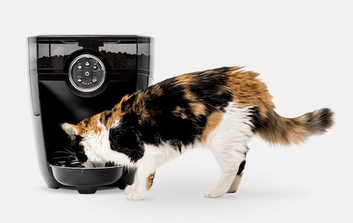 Feeder-Robot automatic cat feeder