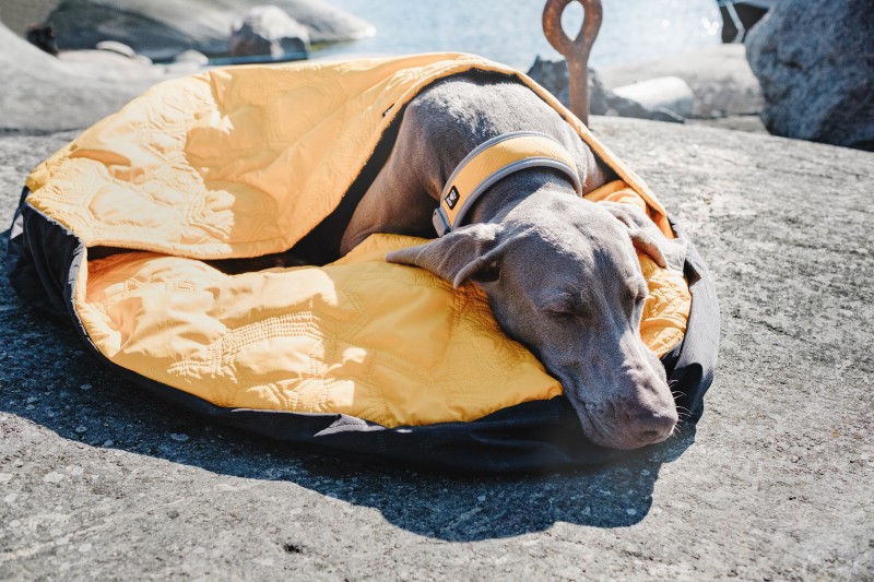 7 Best Dog Sleeping Bags for 2019 | The 